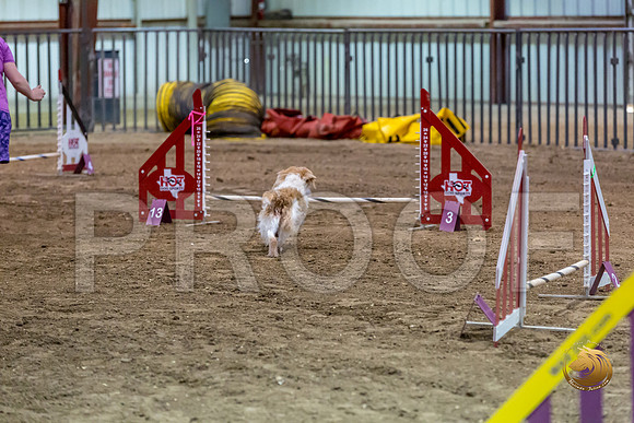 Agility JWW ME Regional SalsaJJJ_3850-PBGVKrvlTX2019-HR3