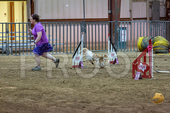 Agility JWW ME Regional SalsaJJJ_3851-PBGVKrvlTX2019-HR3