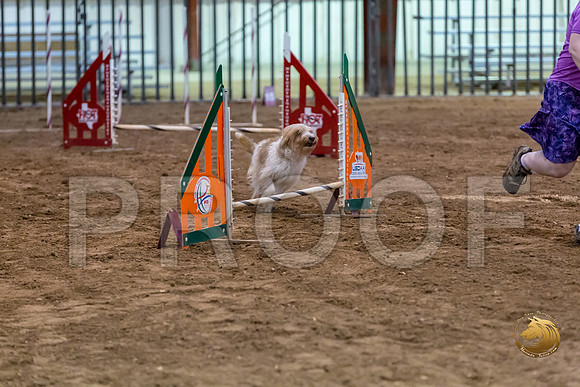 Agility JWW ME Regional SalsaJJJ_3854-PBGVKrvlTX2019-HR3