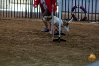 Agility JWW ME Regional Spark