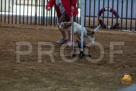 Agility JWW ME Regional SparkJJJ_4169-PBGVKrvlTX2019-HR3
