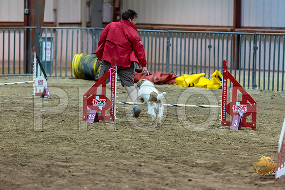 Agility JWW ME Regional SparkJJJ_4173-PBGVKrvlTX2019-HR3