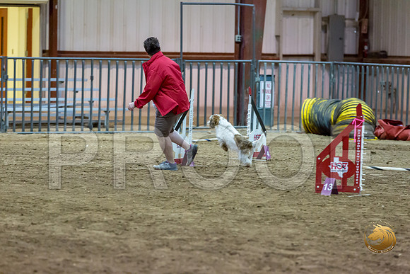 Agility JWW ME Regional SparkJJJ_4175-PBGVKrvlTX2019-HR3