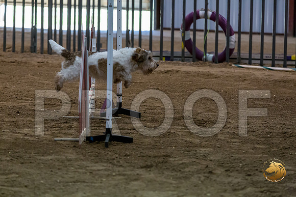 Agility JWW ME Regional SparkJJJ_4184-PBGVKrvlTX2019-HR3