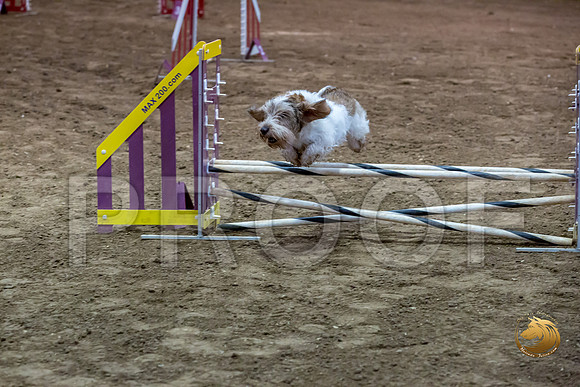 Agility JWW ME Regional SparkJJJ_4188-PBGVKrvlTX2019-HR3