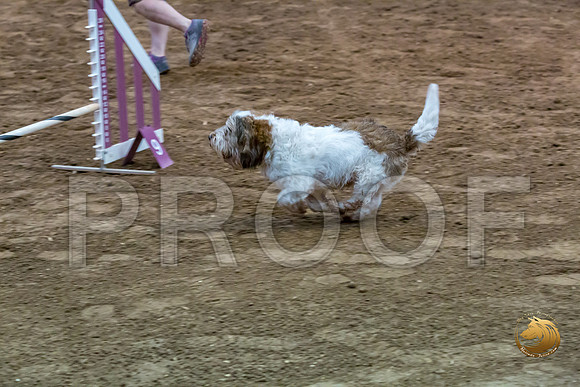 Agility JWW ME Regional SparkJJJ_4191-PBGVKrvlTX2019-HR3