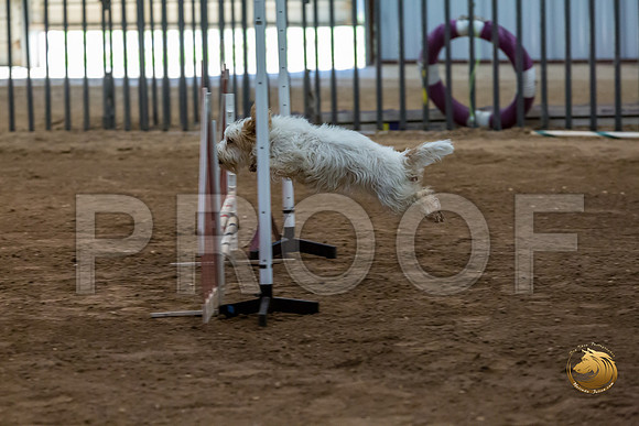 Agility JWW ME Regional SpiceJJJ_4114-PBGVKrvlTX2019-HR3