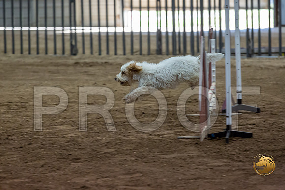 Agility JWW ME Regional SpiceJJJ_4115-PBGVKrvlTX2019-HR3