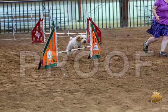 Agility JWW ME Regional SpiceJJJ_4121-PBGVKrvlTX2019-HR3