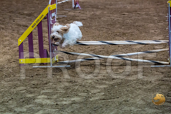Agility JWW ME Regional SpiceJJJ_4126-PBGVKrvlTX2019-HR3