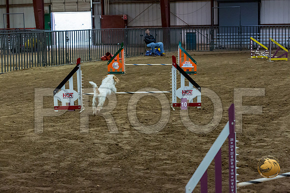 Agility JWW ME Regional SpiceJJJ_4129-PBGVKrvlTX2019-HR3
