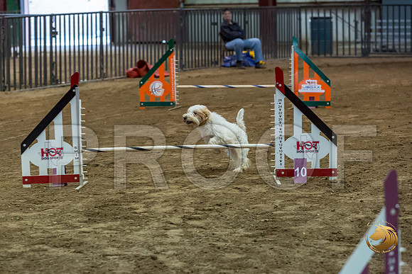 Agility JWW ME Regional SpiceJJJ_4131-PBGVKrvlTX2019-HR3