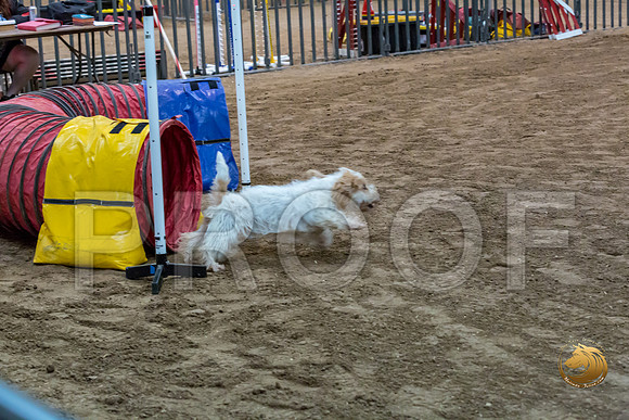 Agility JWW ME Regional SpiceJJJ_4135-PBGVKrvlTX2019-HR3