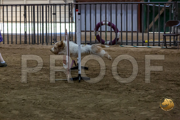Agility JWW ME Regional WallyJJJ_4045-PBGVKrvlTX2019-HR3