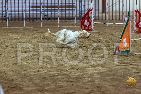 Agility JWW ME Regional WallyJJJ_4052-PBGVKrvlTX2019-HR3
