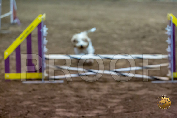 Agility JWW ME Regional WallyJJJ_4064-PBGVKrvlTX2019-HR3