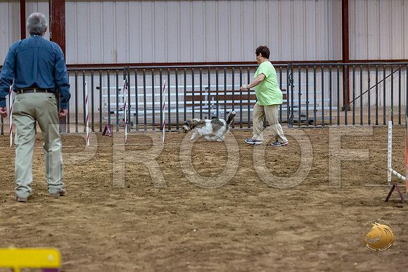 Agility JWW Nov National DalilaJJJ_4953-PBGVKrvlTX2019-HR3