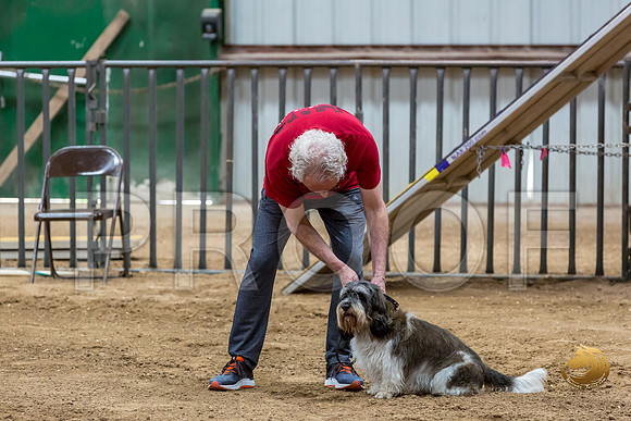 Agility JWW Nov National JaxJJJ_4982-PBGVKrvlTX2019-HR3