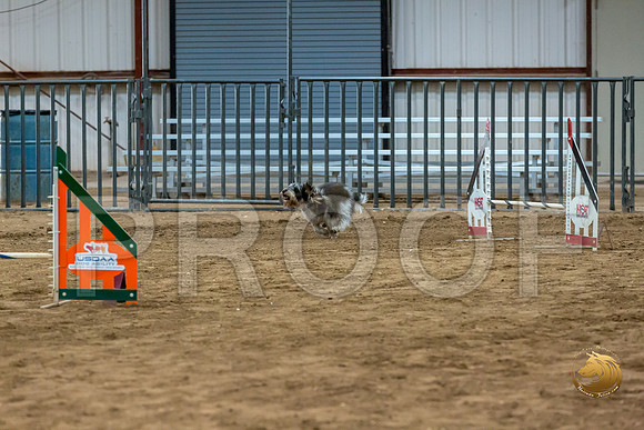 Agility JWW Nov National JaxJJJ_4993-PBGVKrvlTX2019-HR3