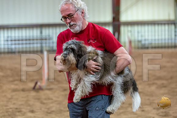 Agility JWW Nov National JaxJJJ_5000-PBGVKrvlTX2019-HR3