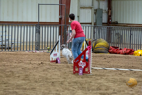 Agility JWW Nov National LeahJJJ_4911-PBGVKrvlTX2019-HR3