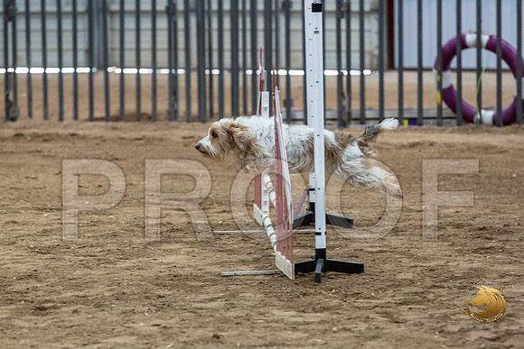 Agility JWW Nov National MuseJJJ_5008-PBGVKrvlTX2019-HR3