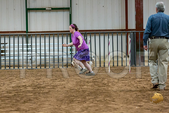 Agility JWW Nov National MuseJJJ_5019-PBGVKrvlTX2019-HR3