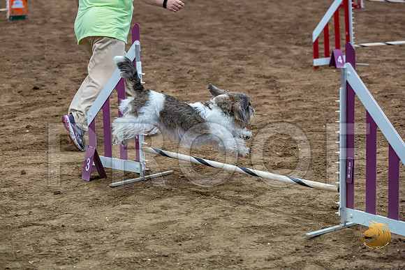 Agility JWW Nov Regional DalilaJJJ_4793-PBGVKrvlTX2019-HR3