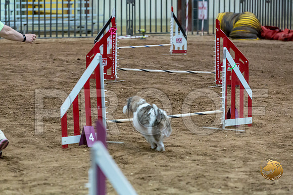 Agility JWW Nov Regional DalilaJJJ_4794-PBGVKrvlTX2019-HR3