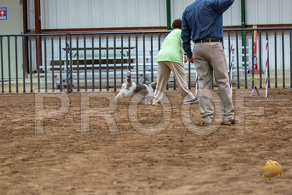 Agility JWW Nov Regional DalilaJJJ_4804-PBGVKrvlTX2019-HR3