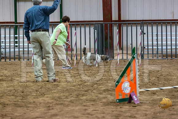 Agility JWW Nov Regional DalilaJJJ_4807-PBGVKrvlTX2019-HR3