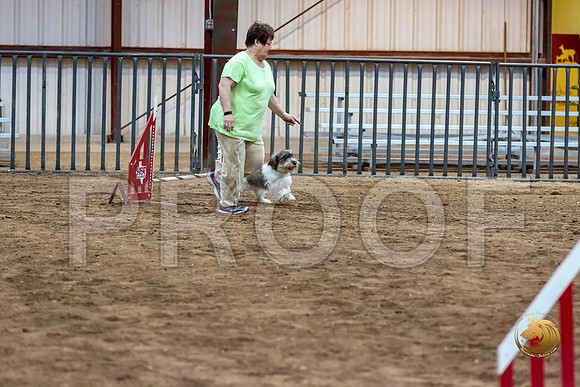 Agility JWW Nov Regional DalilaJJJ_4814-PBGVKrvlTX2019-HR3