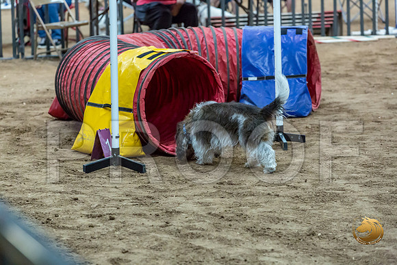 Agility JWW Nov Regional JaxJJJ_4829-PBGVKrvlTX2019-HR3