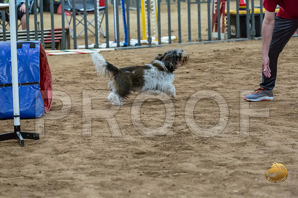 Agility JWW Nov Regional JaxJJJ_4830-PBGVKrvlTX2019-HR3