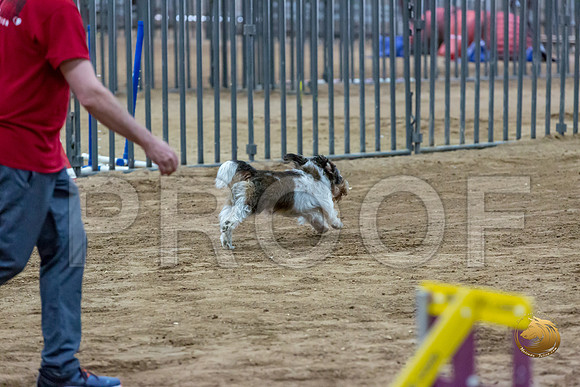 Agility JWW Nov Regional JaxJJJ_4831-PBGVKrvlTX2019-HR3