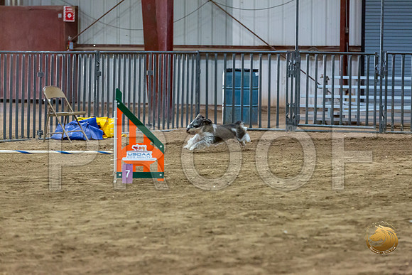 Agility JWW Nov Regional JaxJJJ_4846-PBGVKrvlTX2019-HR3