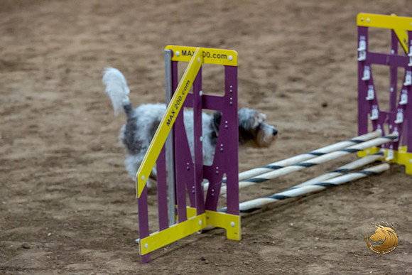 Agility JWW Nov Regional LeahJJJ_4734-PBGVKrvlTX2019-HR3