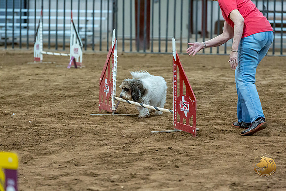 Agility JWW Nov Regional LeahJJJ_4745-PBGVKrvlTX2019-HR3