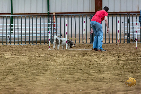 Agility JWW Nov Regional LeahJJJ_4754-PBGVKrvlTX2019-HR3