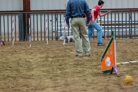 Agility JWW Nov Regional LeahJJJ_4759-PBGVKrvlTX2019-HR3