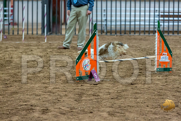 Agility JWW Nov Regional MuseJJJ_4874-PBGVKrvlTX2019-HR3