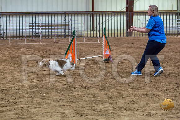 Agility JWW Open Regional ChloeJJJ_4673-PBGVKrvlTX2019-HR3