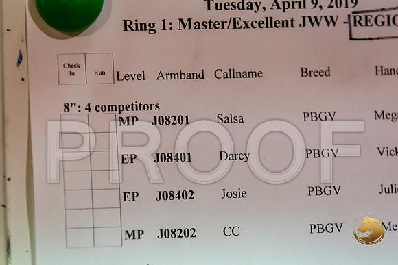 Agility Run TimesJJJ_3839-PBGVKrvlTX2019-HR3