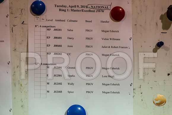 Agility Run TimesJJJ_3838-PBGVKrvlTX2019-HR3
