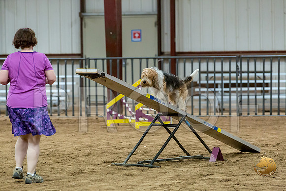 Agility Std ME National 12%22 GromitJJJ_6239-PBGVKrvlTX2019-HR3