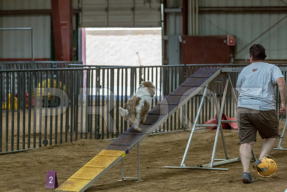 Agility Std ME National 12%22 SparksJJJ_6298-PBGVKrvlTX2019-HR3