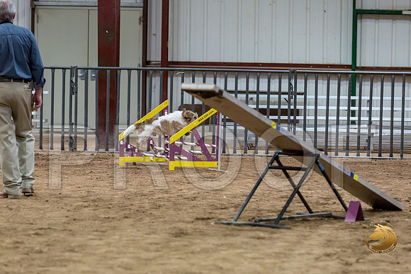 Agility Std ME National 12%22 SparksJJJ_6305-PBGVKrvlTX2019-HR3
