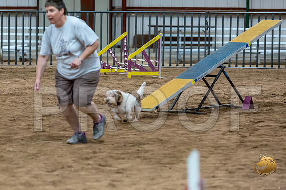 Agility Std ME National 12%22 SparksJJJ_6310-PBGVKrvlTX2019-HR3
