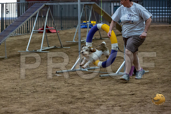 Agility Std ME National 12%22 SparksJJJ_6313-PBGVKrvlTX2019-HR3