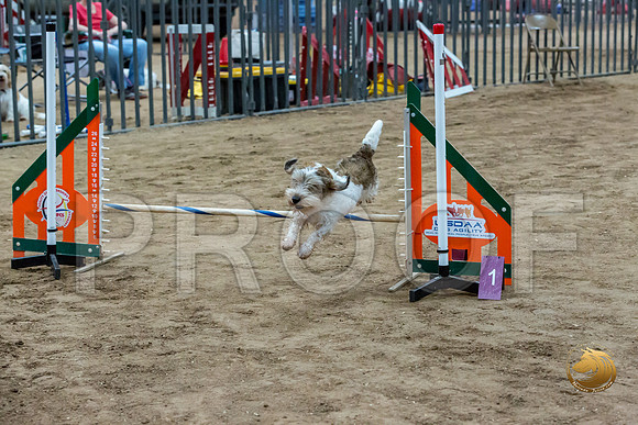 Agility Std ME National 12%22 SparksJJJ_6316-PBGVKrvlTX2019-HR3